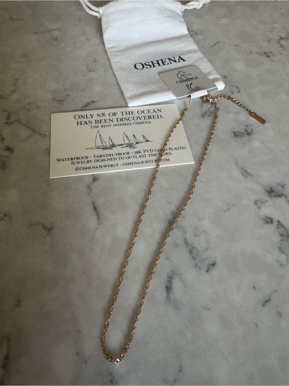 Oshena 18K Gold-Plated Rope Chain Necklace - Gold Never Worn